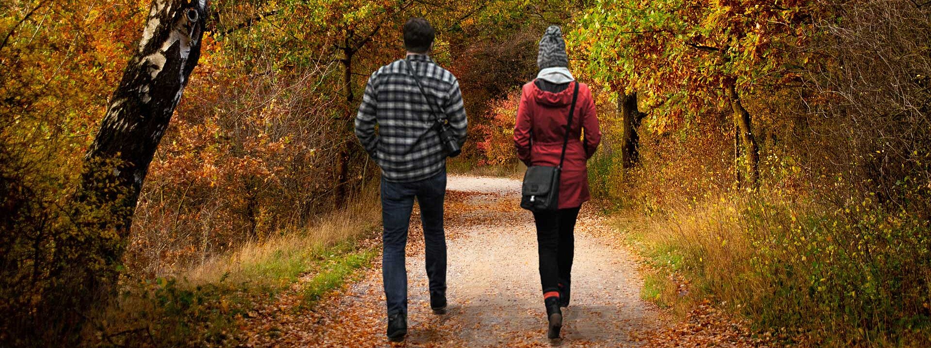 Zwei Personen gehen gemeinsam auf einem Waldweg.